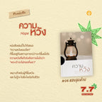 ชุดแสงสุดท้าย