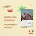 ชุดจบสวย