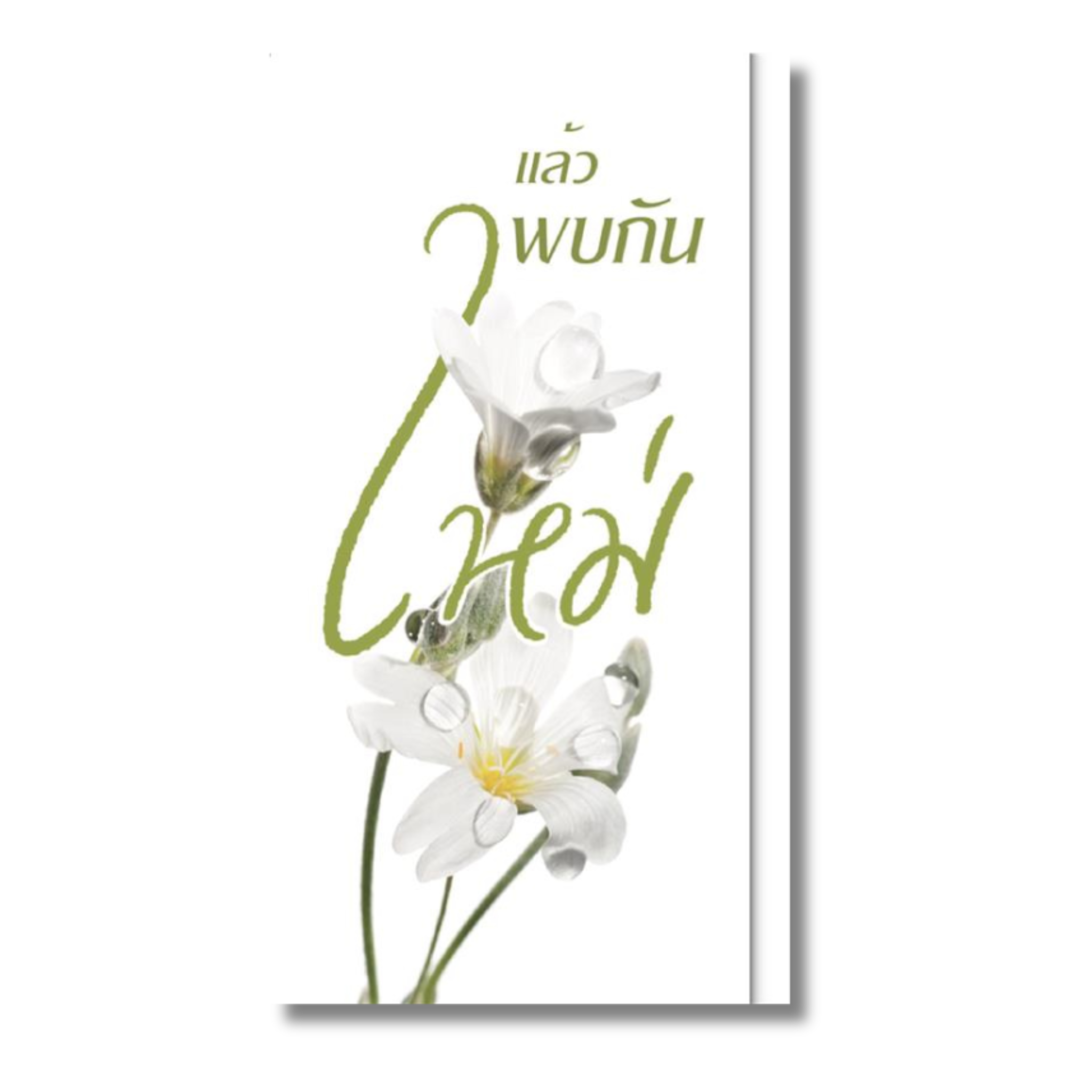 แล้วพบกันใหม่