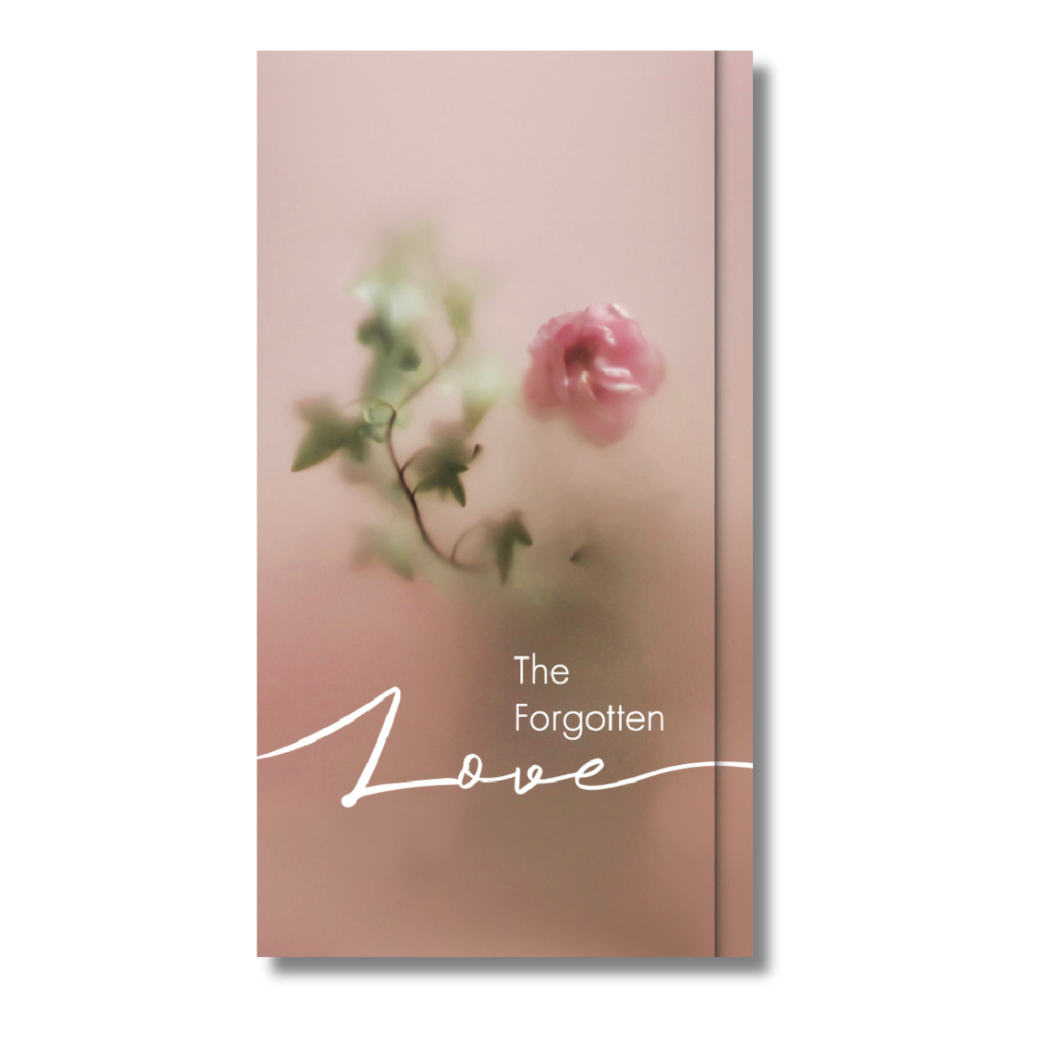 รักที่ถูกลืม