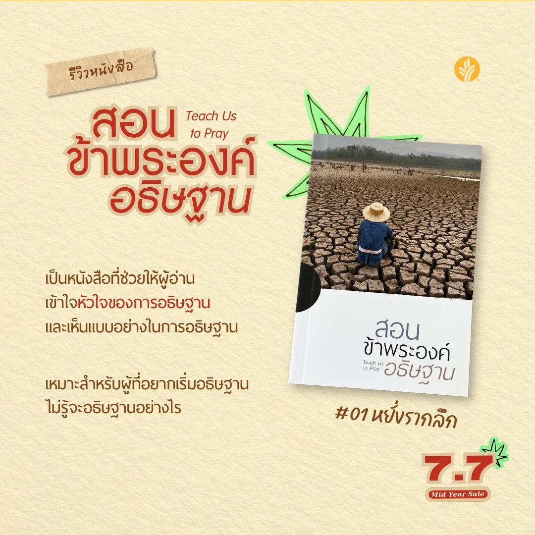 ชุดหยั่งรากลึก